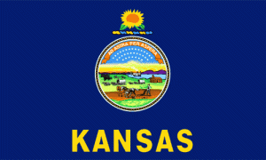 Kansas State Flag