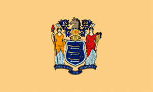 New Jersey Flag