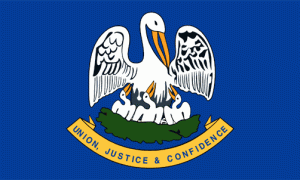 Pelican Flag