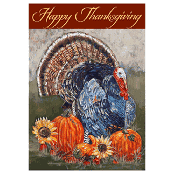 flgbdec1000021499-happy-thanksgiving-turkey-flag-banner